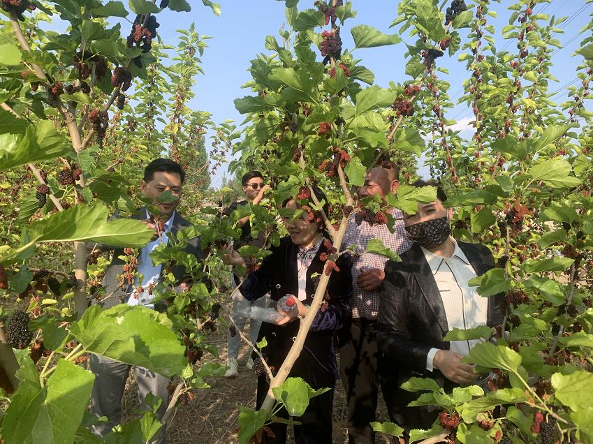 1652435576120944.jpg 1.jpg