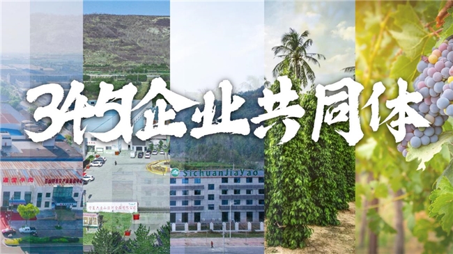 图片10.jpg