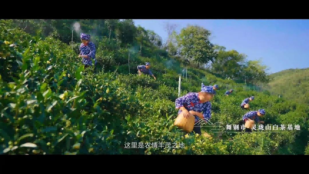 图片 7.png