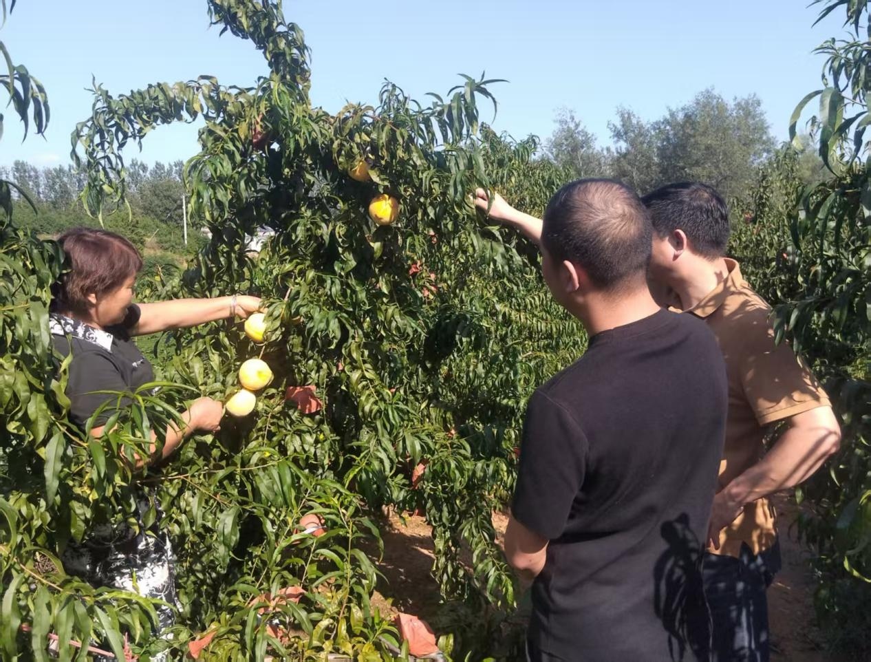 1757903360380957.jpg 图片 2.jpg