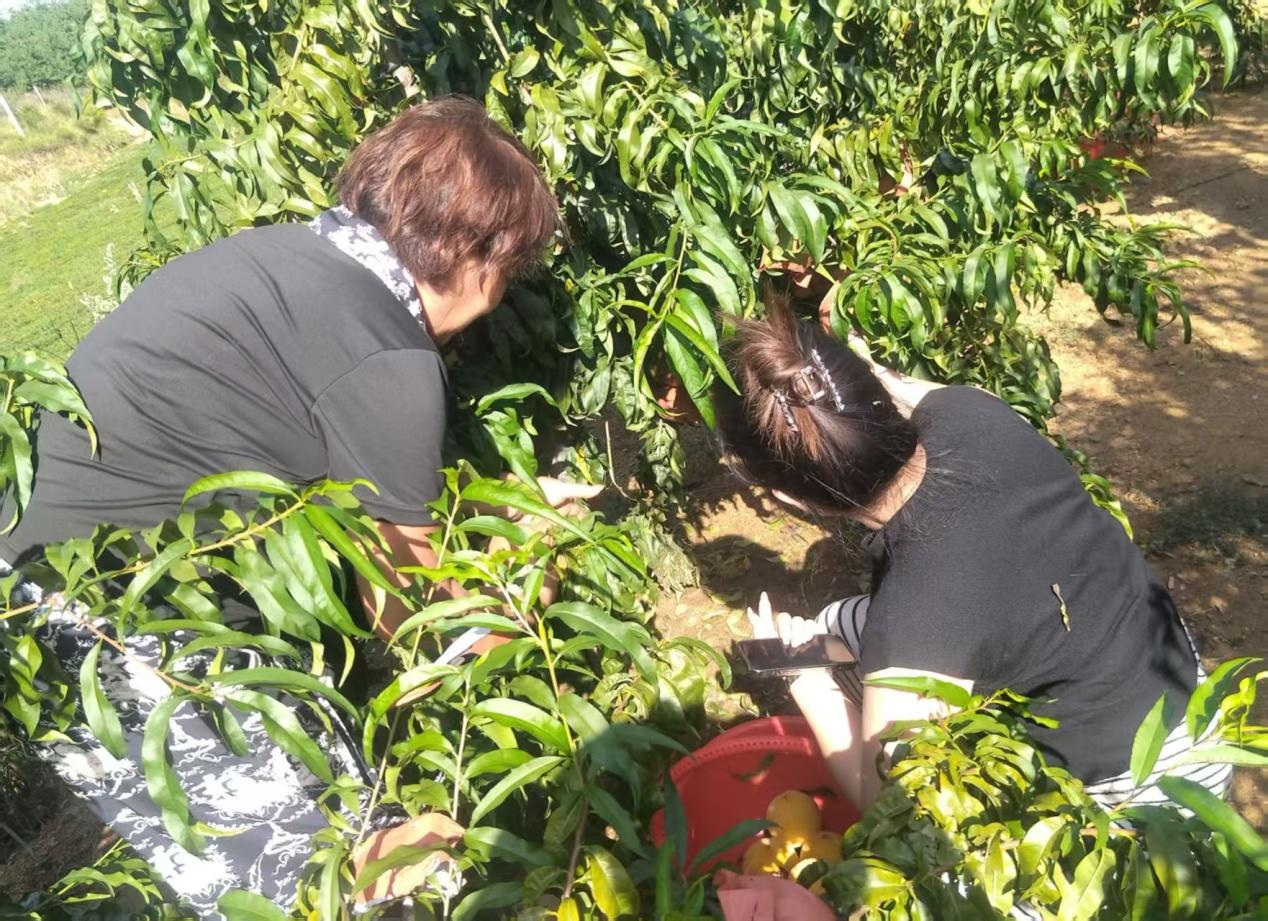 1757903366227531.jpg 图片 3.jpg