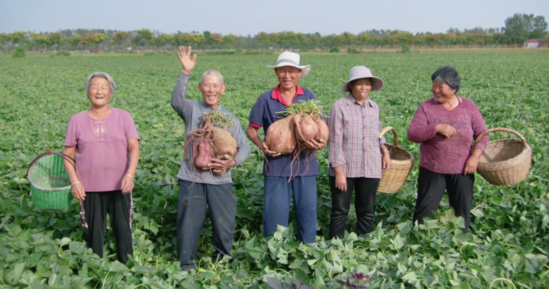 1758524663817816.png 1000188692.png