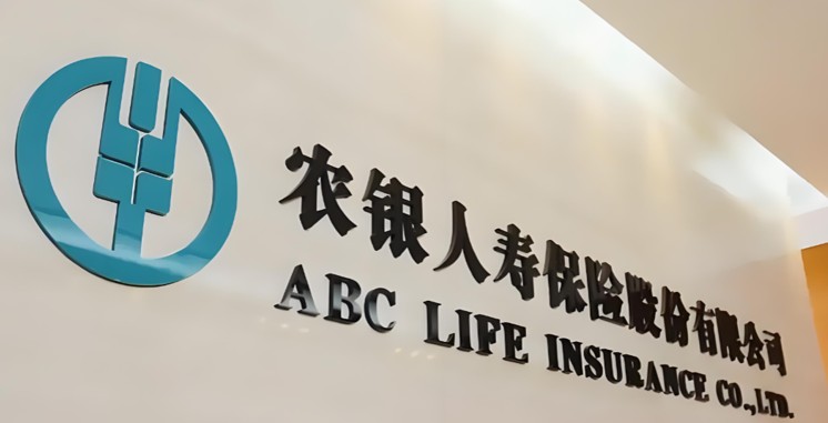 1773465039653636.jpg 111.jpg