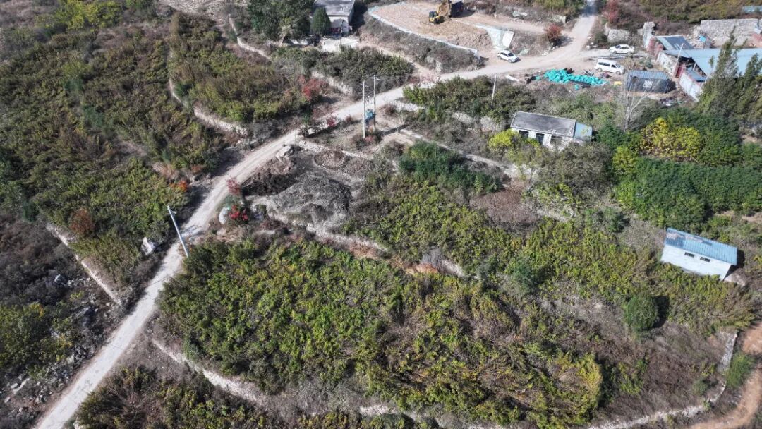 1762741511279406.jpg 640 (2).jpg