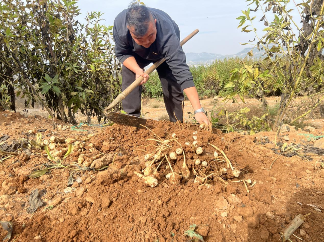 1762741541541795.png 640.png